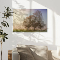 AL-045W030