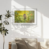 PSP093W062