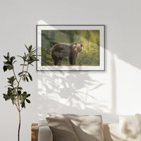 PBP120W080