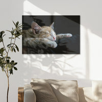 AL-075W050