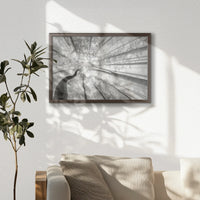 LWN060W040