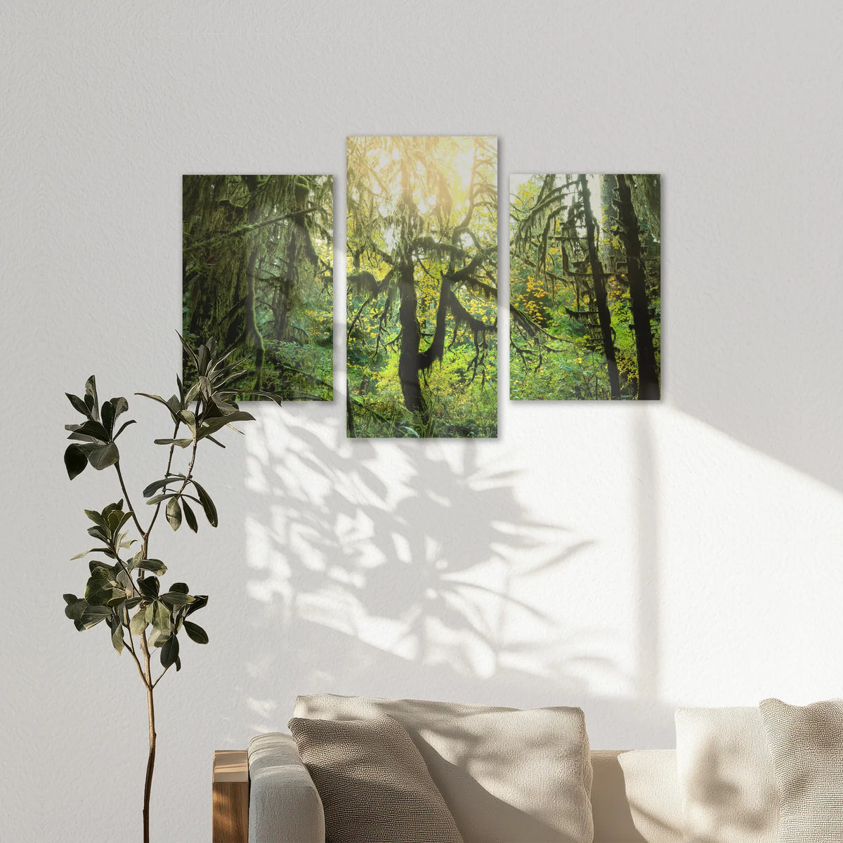 AC-150T100