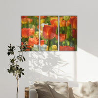 LW-150R100