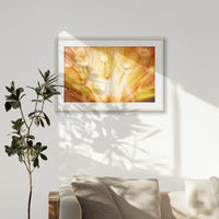 PNP100W070