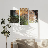 AC-120T080
