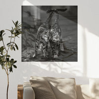 PO-060W060