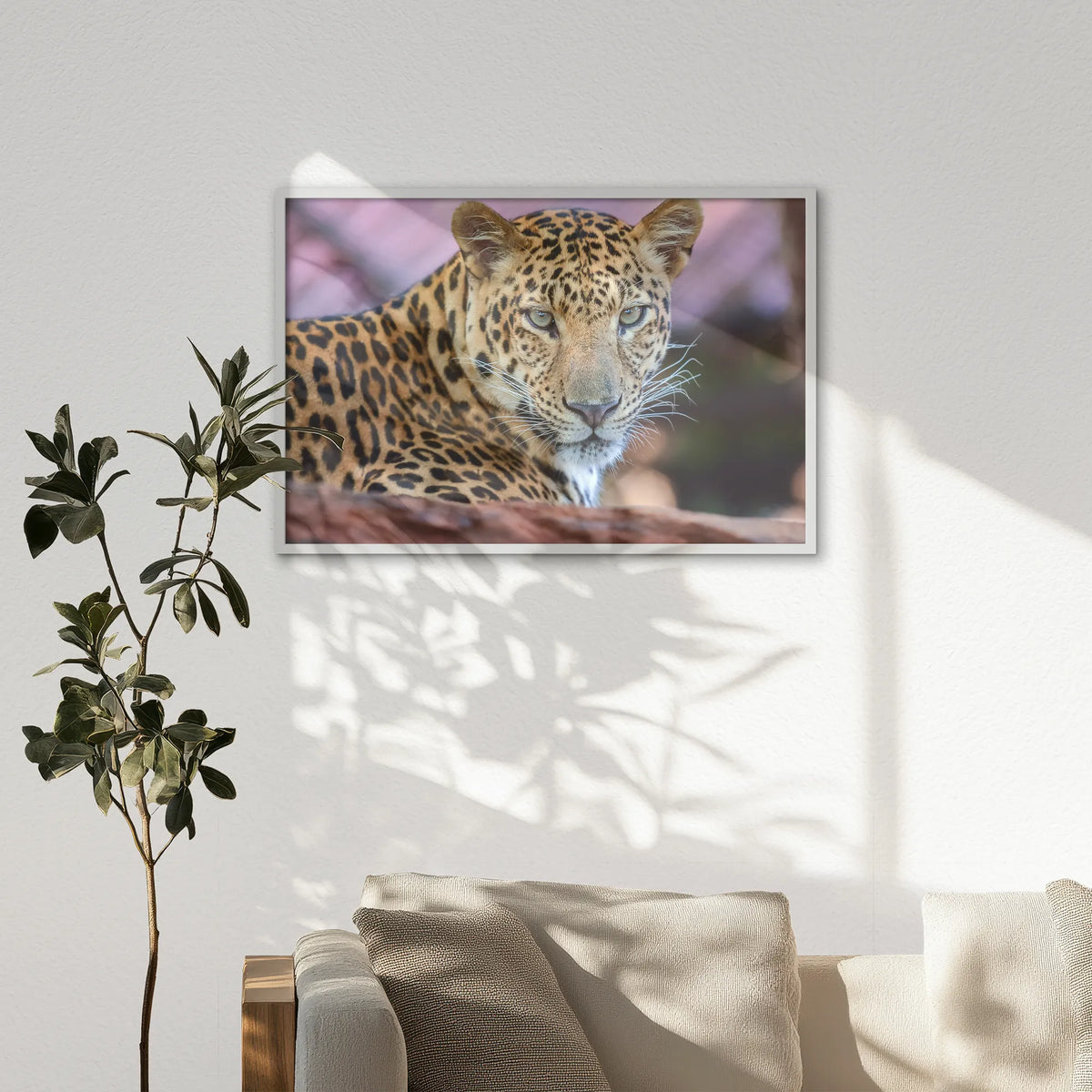 LWW100W070