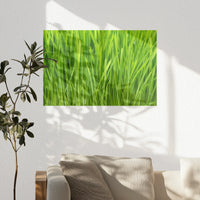 PO-060W040