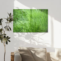 AC-075W050
