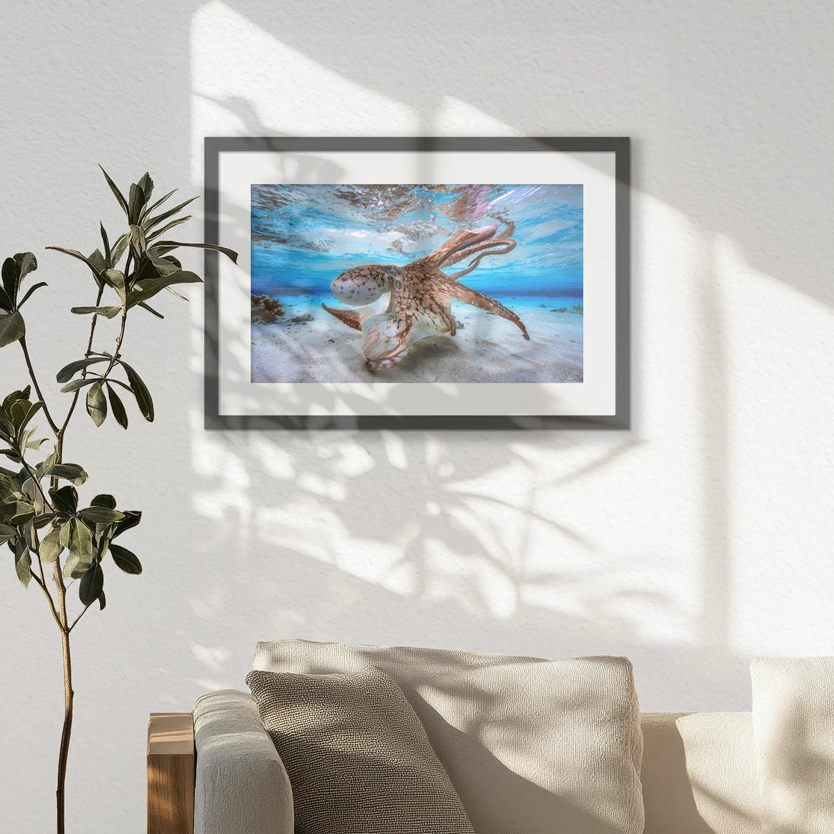 PKP060W040