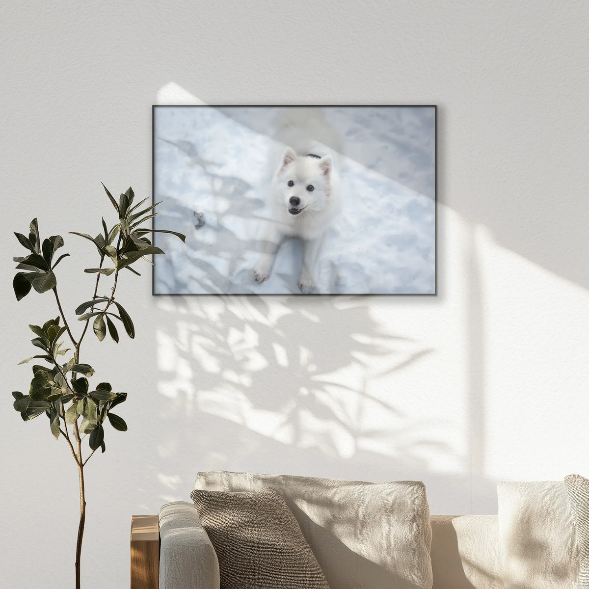PB-120W080