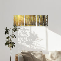 AC-180S060