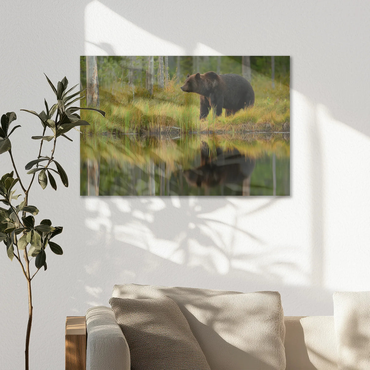 AC-075W050