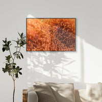 PB-100W070