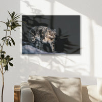 LW-030W020