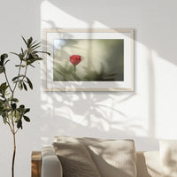 PNP060W040